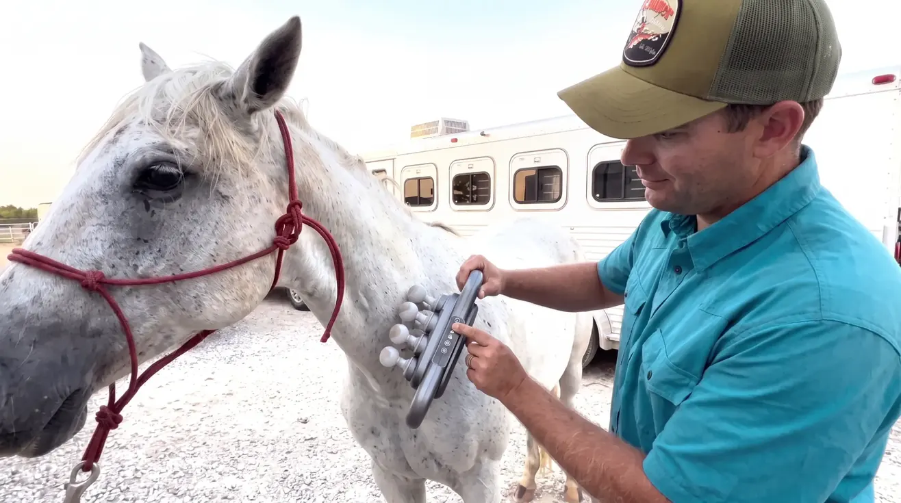 VitalHorse massager being used on a horse